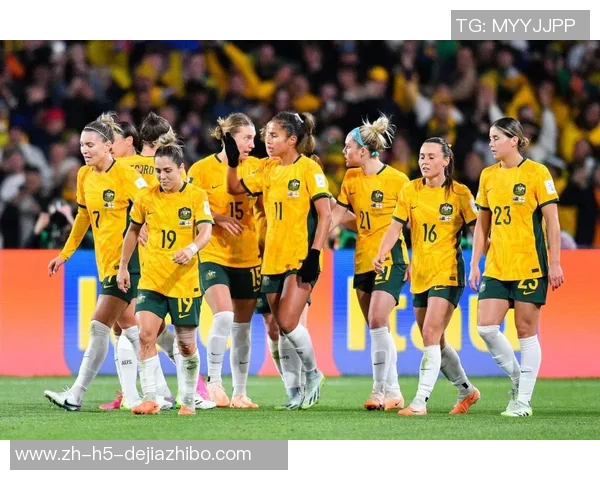 瑞典与爱尔兰足球对决精彩回顾及赛后分析